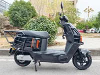 Moto électrique à succès 1000-2000W, cyclomoteur électrique 60V/72V
