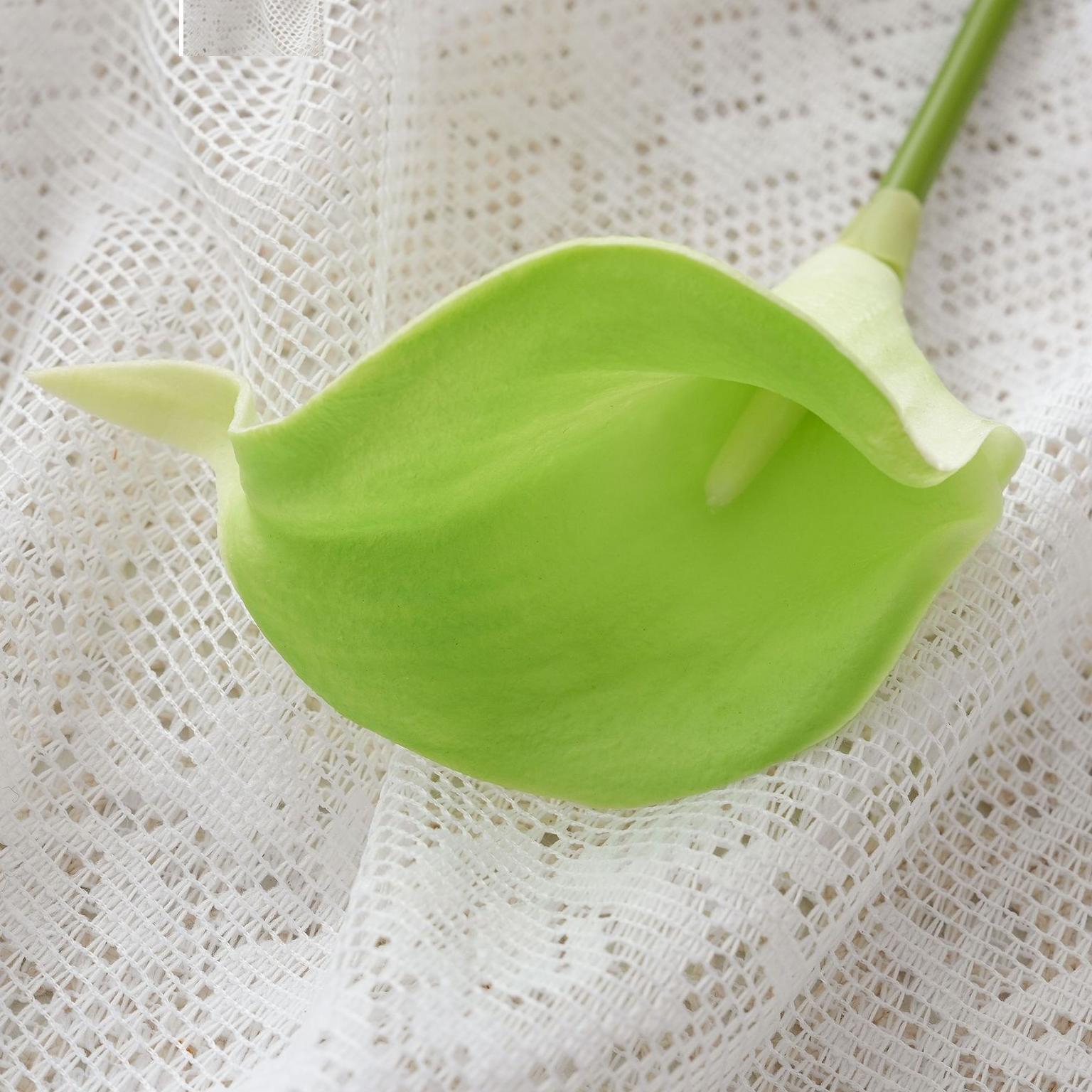 Vert
