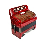 Accordéon à boutons diatonique professionnel SEASOUND OEM, 34 boutons, 72 basses, 3 registres, bois JB3472