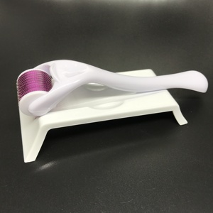 Wholesale OEM 0.5mm 1.0mm 540 Pin Derma Roller for Hair <b>Beard</b> Regrowth Wrinkle Scar Removal Skin <b>Care</b> Massage Men Women - Product Image 2