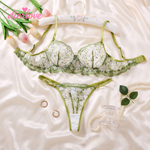 Ensemble de lingerie en dentelle vert sauge pour femmes, broderie de marguerites, soutien-gorge en maille, ensemble de string sexy, style français exotique, sous-vêtements 2 pièces - Product Image 1
