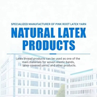 Bande élastique en latex hautement extensible à côtes plates pour la production de sous-vêtements, de vêtements et de vêtements de sport