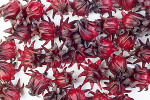 เมล็ดกระเจี๊ยบไทย ปี 2025 คุณภาพส่งออกที่ดีที่สุด รสชาติเข้มข้น สำหรับเครื่องดื่มสมุนไพรธรรมชาติเพื่อสุขภาพ ผลิตภัณฑ์เกษตรขายส่ง - Product Image 4