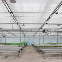 Table de croissance pour équipement agricole GT, lit de semis en treillis métallique, serres, bancs roulants