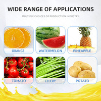 Machine à jus de fruits et légumes industrielle et commerciale, extracteur de jus de citron, gingembre, agrumes et orange en acier inoxydable