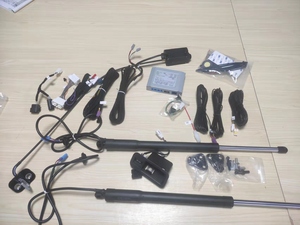 Portón trasero eléctrico hidráulico para <span class=keywords><strong>Ford</strong></span> Tourao, precio de compresión OEM personalizado, producción exclusiva en todo el mundo - Product Image 2