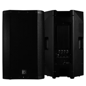 Speaker Audio, Kotak Sistem Suara Speaker Aktif Kelas H Bi-amp Audio CAN15APC 15 Inci 350W