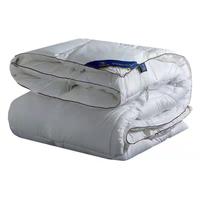 Couette d'hiver épaisse de 8 kg en alternative au duvet, qualité hôtelière, en soie-coton, pour la Chine, livraison directe, idéale pour les maisons d'hôtes printemps-automne