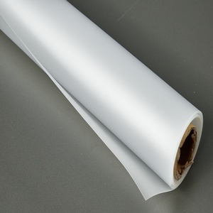 Foglio di Poliuretano Termoplastico per Coperture di Attrezzature Endoscopiche - Product Image 1