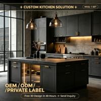 Armoires de cuisine sur mesure en MDF avec revêtement PVC noir mat, armoires murales d'îlot, poignées dorées, éclairage LED, respectueuses de l'environnement