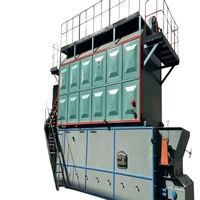 Chaudière à vapeur industrielle automatique à biomasse et charbon 10t/h 15t/h 20t/h 30t/h à double tambour pour la transformation industrielle