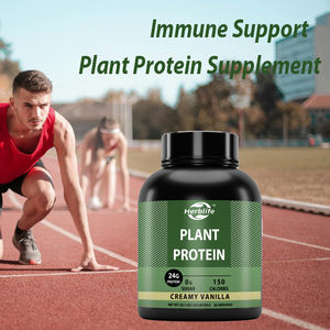 ผงโปรตีนจากพืชแบบ OEM/ODM รสวานิลลาครีมมี่ สำหรับผู้ใหญ่ ไม่เหมาะสำหรับวัยรุ่น เด็ก หรือสตรีมีครรภ์ - Product Image 3