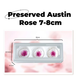 Lovebay Nhà Máy Trực Tiếp Bất Tử Rose Head Trong Hộp Tự Nhiên Bất Cảm Ứng Hoa Mẫu Đơn Hoa 7-8Cm Vĩnh Cửu Bảo Quản <span class=keywords><strong>David</strong></span> <span class=keywords><strong>Austin</strong></span> Hoa Hồng - Product Image 6