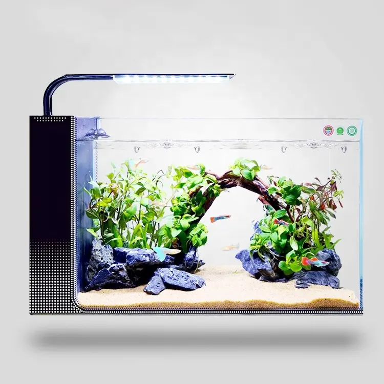Mini acquario con acqua corrente mini acquario acquario usb Desktop