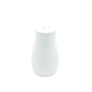 Pot à épices Cruet Salero en porcelaine blanche personnalisée salière et poivrière en céramique