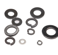 High Tensile DIN 127 Direct Sale High Strength Carbon Steel Plain Black Finish Square End Spring Lock Washer