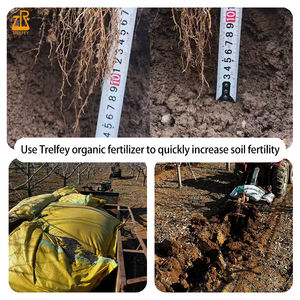 Fertilizante Orgánico Inorgánico NPK en Gránulos <span class=keywords><strong>para</strong></span> Vegetales con Aminoácidos, Acondicionador de Suelo de Liberación Lenta - Product Image 2