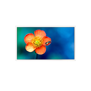 ขายร้อนจอแสดงผล LCD EV238FHM-N10 TFT LCD LCM ADS สีดำปกติ 23.8 นิ้ว 1920RGB*1080 FHD 92PPI สำหรับการถ่ายภาพทางการแพทย์ - Product Image 1