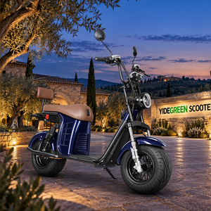 Citycoco X21 Scooter Elettrico 1000W con Batteria al Litio 60V20Ah, Disponibile in Brasile, Spedizione Diretta - Product Image 1