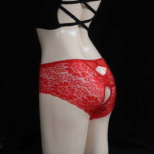 Japanese Style Lace Open Crotch Panties For Women Plus Size Sexy See Through Viscose Fabric Bedwear - Product Image 3