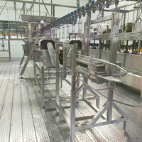 Ligne de production complète en acier pour abattoir de poulet mobile compact 300-500 BPH avec plumeuse