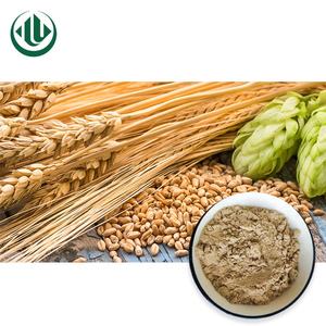 Fabbrica diretta di buona qualità 100% naturale istantaneo orzo in polvere marrone giallo estratto vegetale estratto - Product Image 3