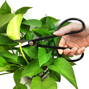 Manual Manganese Steel Pruning Scissors 190x43mm <strong>Bud</strong> <strong>Trimmer</strong> Aluminum Foil Bag Gardening Essentials Lightweight Design Black - Product Image 2