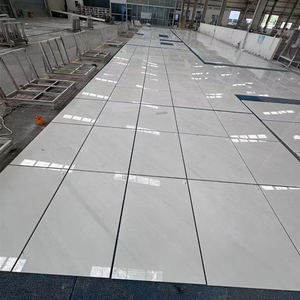 หินอ่อนสีขาว Sivec แผ่นหินธรรมชาติขัดเงา ทันสมัย เป็นมิตรกับสิ่งแวดล้อม ทนไฟ ใช้สำหรับปูพื้นเคาน์เตอร์ โรงแรม ล็อบบี้ วิลล่า แกลเลอรี - Product Image 6