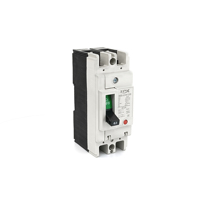 Disjoncteur de type S moulé de haute qualité SPX SM30-63S/2300 Mccb 2P