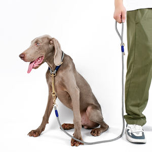 Accessoires personnalisés en corde pour animaux de compagnie, petit, moyen et grand, collier et laisse pour chien tressés faits à la main recyclés de luxe - Product Image 4