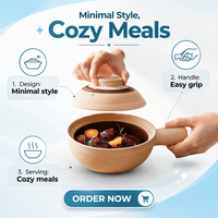 Marmite à soupe japonaise au design moderne Casserole en céramique résistante aux hautes températures pour cuisinière à gaz pour casserole à riz et nouilles