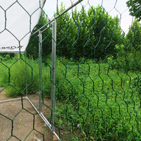 Vente en ligne Poulailler Mobile Pet Cage Clôture Treillis & Gates-Poulailler de haute qualité Maison