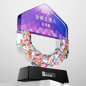 Plaques de médailles de trophées en cristal coloré haut de gamme sur mesure pour les équipes d'employés exceptionnels Prix honorifiques créatifs - Product Image 6