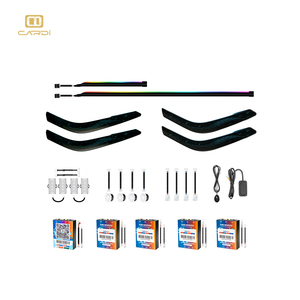 'CARDI' OEM y ODM D24 Tata 'Nexon' Curva Luz ambiental Accesorios para el interior del automóvil Iluminación sinfónica LED 265 colores - Product Image 6