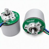 Motor sin Escobillas de 24V con Control de Velocidad PWM, BL4030W IP54, 3748 RPM, 85 m.Nm de Torque, Micromotor para Pistola de Masaje Eléctrica