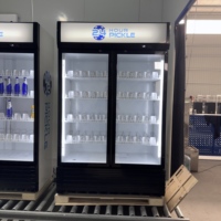 Réfrigérateur commercial vertical économique pour boissons avec porte vitrée – Idéal pour les magasins, bars et commerces de détail