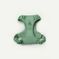 Sunraymascota Nouvelle Arrivée Harnais de Luxe Personnalisé pour Chien Anti-Traction avec Laisse et 11 Couleurs et Fermeture à Boucle