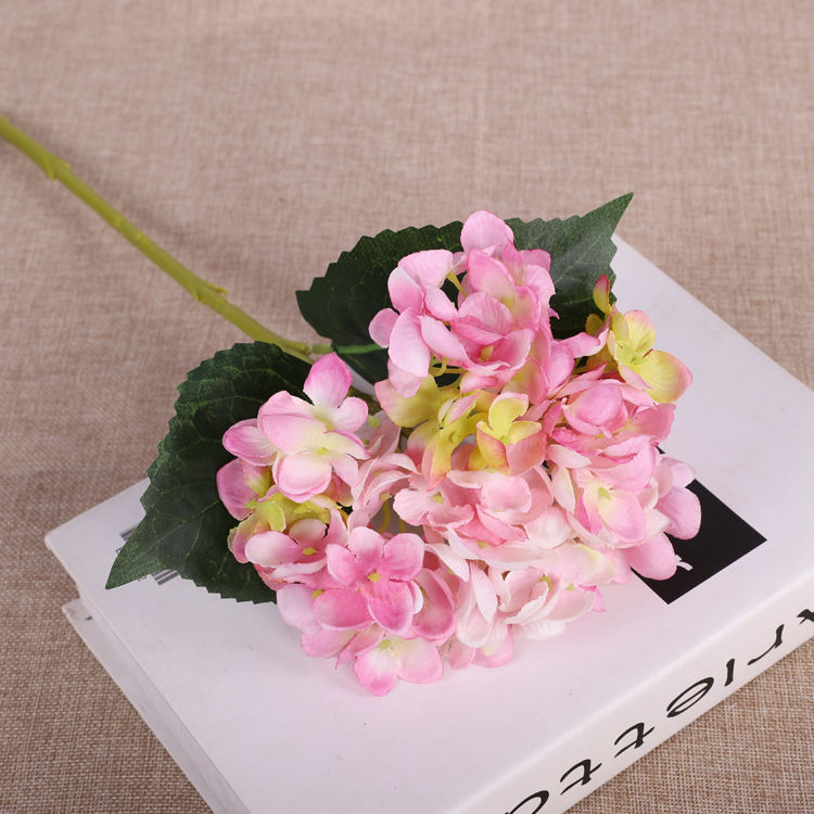 (S)สีม่วง