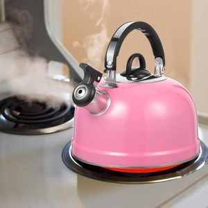 Large Capacity Stainless Steel <strong>Kettle</strong> for Home Use Non <strong>Plug</strong> in Camping Integrated Outdoor Whistle <strong>Kettle</strong> Flat Bottomed <strong>Kettle</strong> - Product Image 5