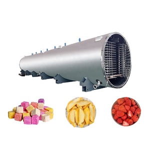 Machine de lyophilisation sous vide de fruits de 2 tonnes, lyophilisateur certifié CE pour la transformation alimentaire, avec <span class=keywords><strong>pompe</strong></span> <span class=keywords><strong>à</strong></span> <span class=keywords><strong>chaleur</strong></span> électrique et moteur Ti - Product Image 1