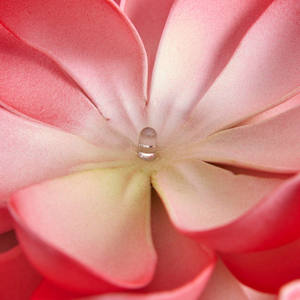 أدى الدافئة الأبيض الاصطناعي العائمة أضواء بركة زهرة الشمسية لوتس على ورقة بركة ضوء مصباح الأزهار - Product Image 4