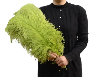 55cm 60cm Floral bricolage artisanat vert citron plume d'autruche Prime Femina pas cher plume d'autruche pour mariage - Product Image 1