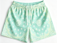 Shorts de plage en maille à imprimé cachemire pour hommes, avec cordon de serrage et taille élastique, décontractés, pour la natation et les vacances