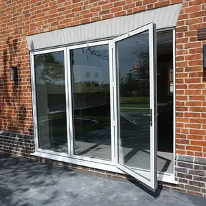 Zwart Slank Aluminium Frame Op Maat Gemaakt Glas Nieuw Grillontwerp Vouwdeur