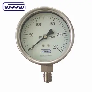 stainless steel 250 mbar 100mm low pressure bellows manometer