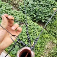 Accessoires pour serres agricoles : Treillis pour vigne en monofilament de polyester et fil plastique