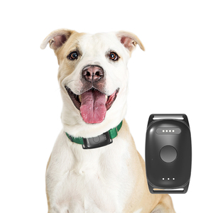 Aplicación de monitoreo de actividad de mascotas, localizador GPS de alta precisión, rastreador 4G GSM, <span class=keywords><strong>Collar</strong></span> de caza para perros con alarma de cercado Geo - Product Image 4