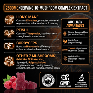 थोक ओम निजी लेबल मशरूम की गामी फोकस मेमोरी फोकस पुरुषों और महिलाओं के लिए प्रतिरक्षा समर्थन मस्तिष्क बूस्टर विटामिन - Product Image 3