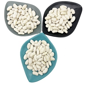 Meilleure vente en chine de haricots de pois blancs naturels gros haricots blancs au prix le plus bas - Product Image 1