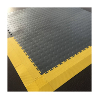 Offre Spéciale carreaux de verrouillage, sol de voiture, sol de Garage, sol en PVC